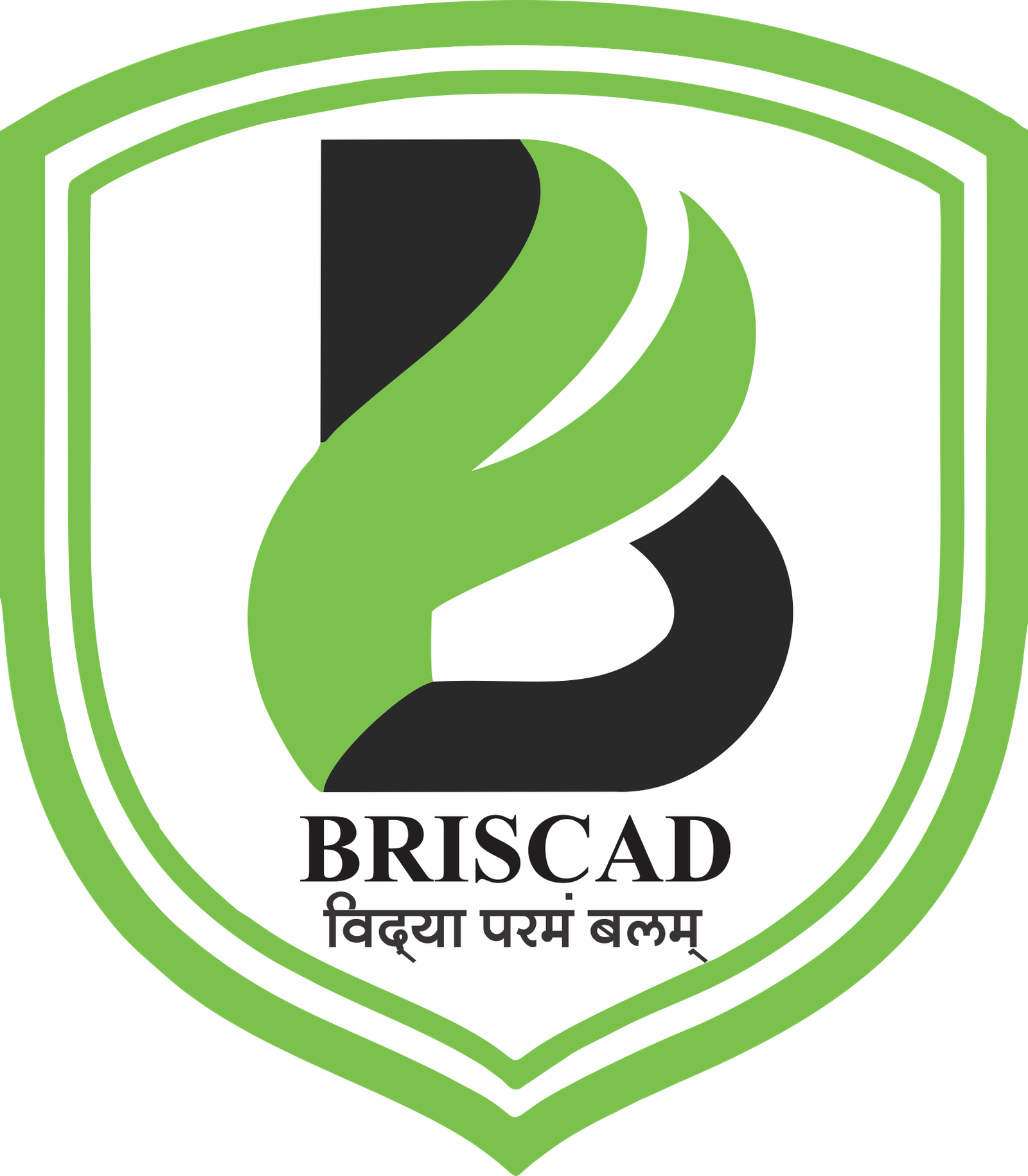 briscad logo HQ